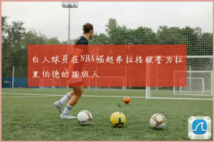 白人球员在NBA崛起弗拉格被誉为拉里伯德的接班人